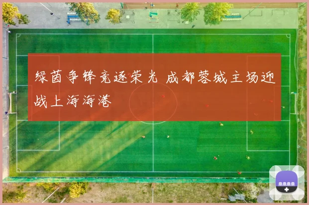 绿茵争锋竞逐荣光 成都蓉城主场迎战上海海港