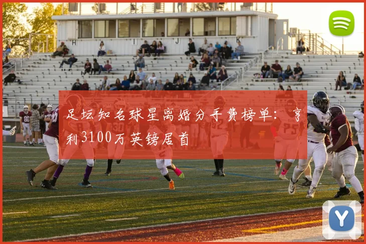 足坛知名球星离婚分手费榜单：亨利3100万英镑居首