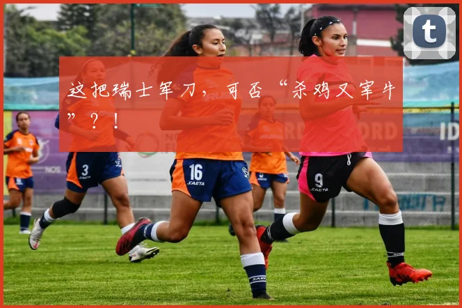 这把瑞士军刀，可否“杀鸡又宰牛”？！