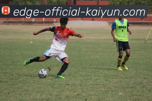 开云平台生态图